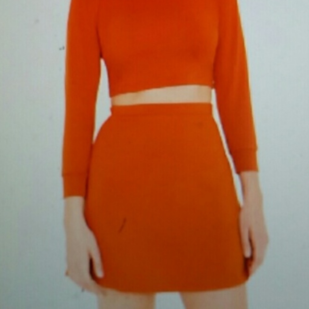 Red American Apparel Hyperion Skirt XS